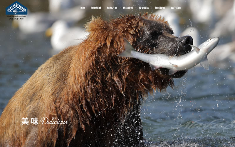 美國阿拉斯加海產市場協(xié)會 網(wǎng)站建設